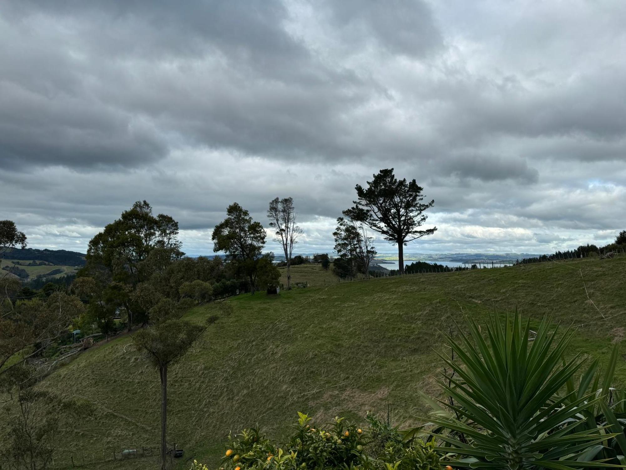 Private Cabin Close To The City Centre ファンガレー エクステリア 写真