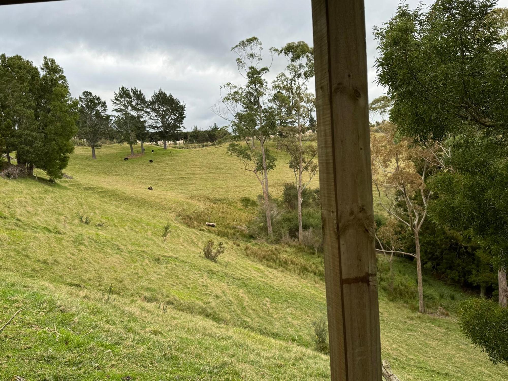 Private Cabin Close To The City Centre ファンガレー エクステリア 写真